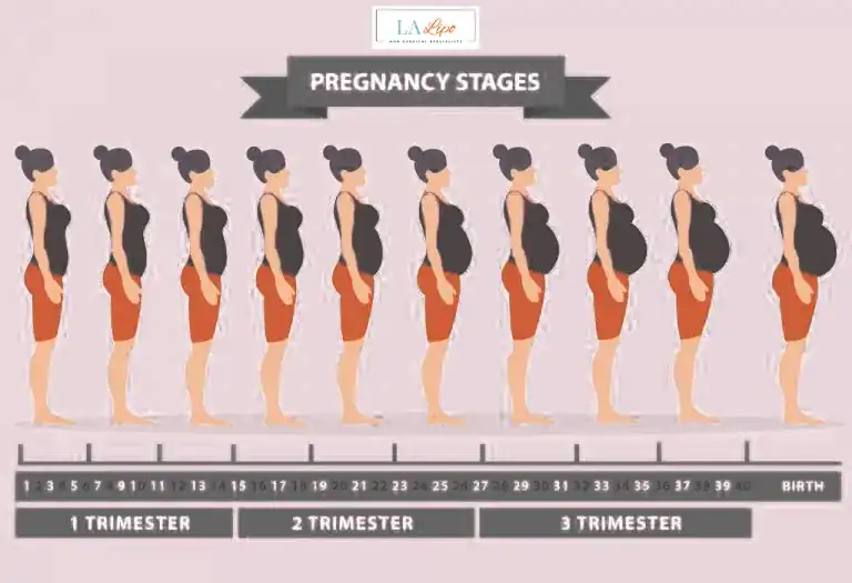 First Trimester (Weeks 1–12): Early Changes You Might Not Notice Rickmansworth